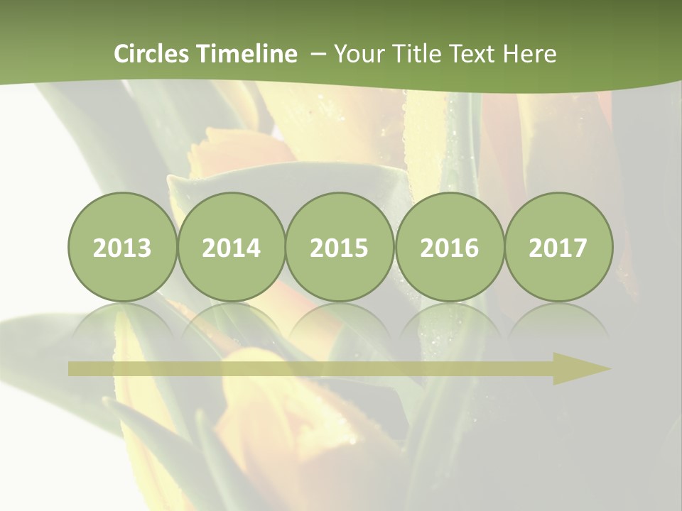 Trategy Di Cu Ion Writing PowerPoint Template