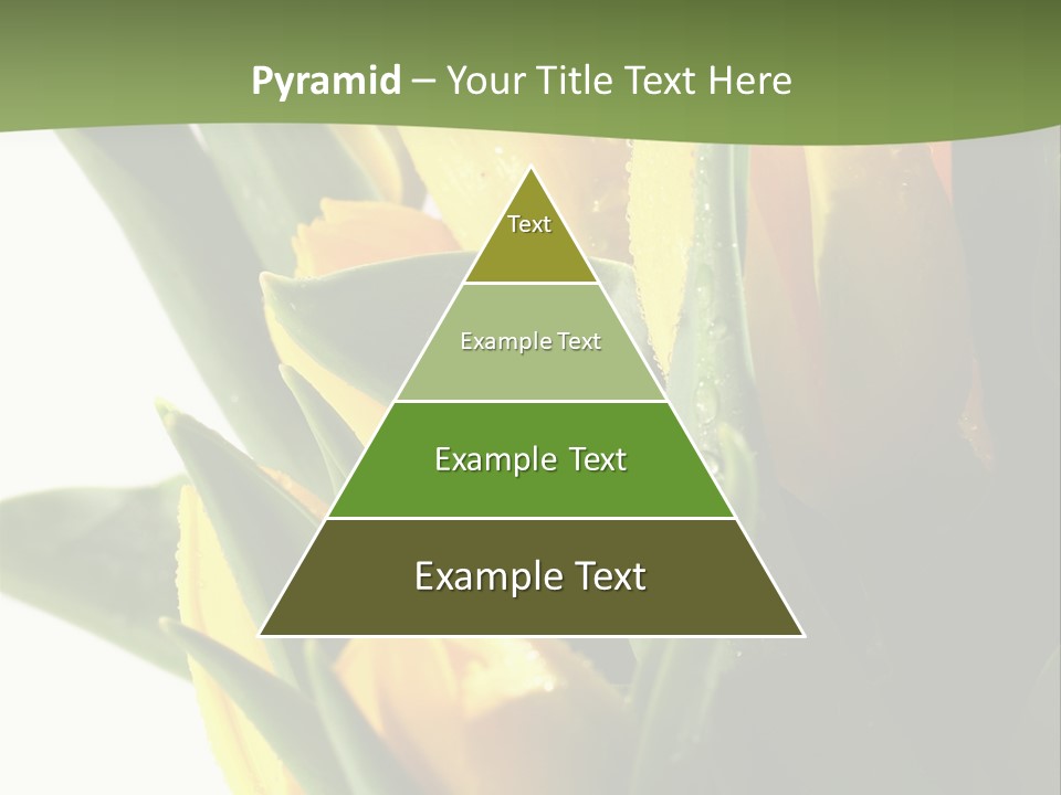 Trategy Di Cu Ion Writing PowerPoint Template