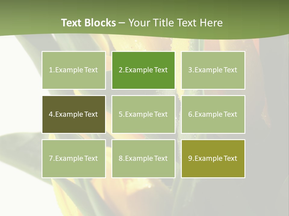 Trategy Di Cu Ion Writing PowerPoint Template