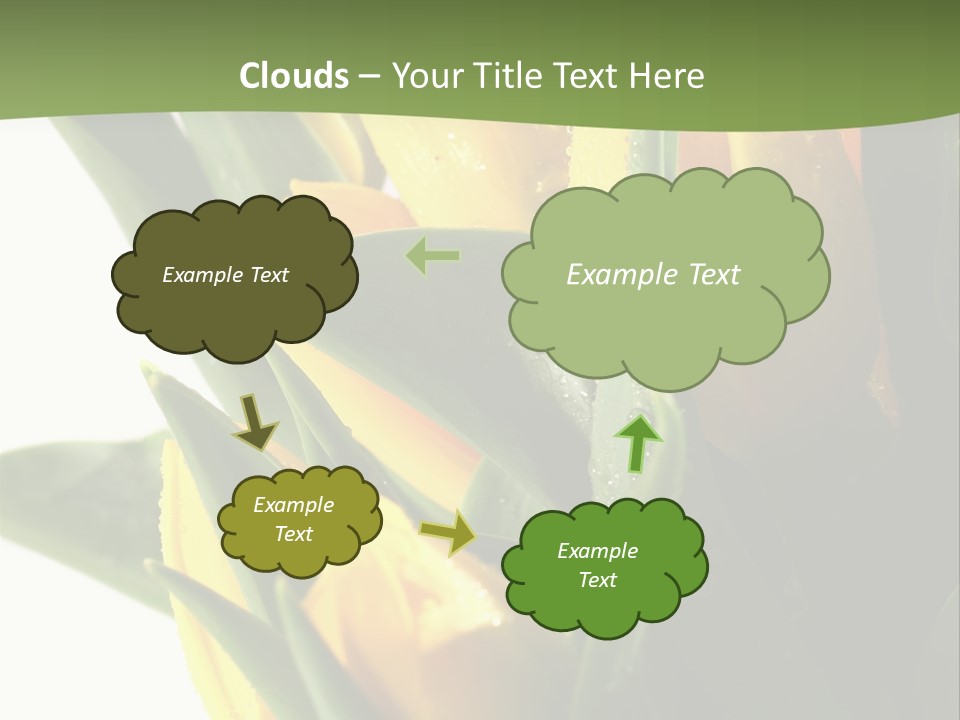 Trategy Di Cu Ion Writing PowerPoint Template