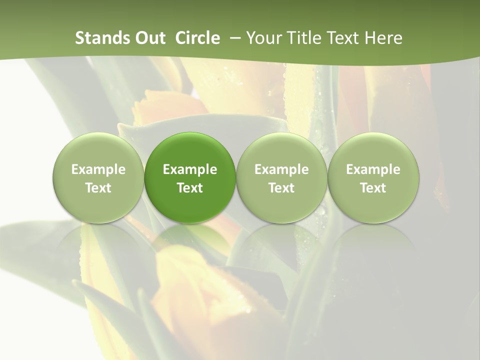 Trategy Di Cu Ion Writing PowerPoint Template