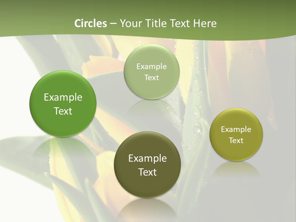 Trategy Di Cu Ion Writing PowerPoint Template