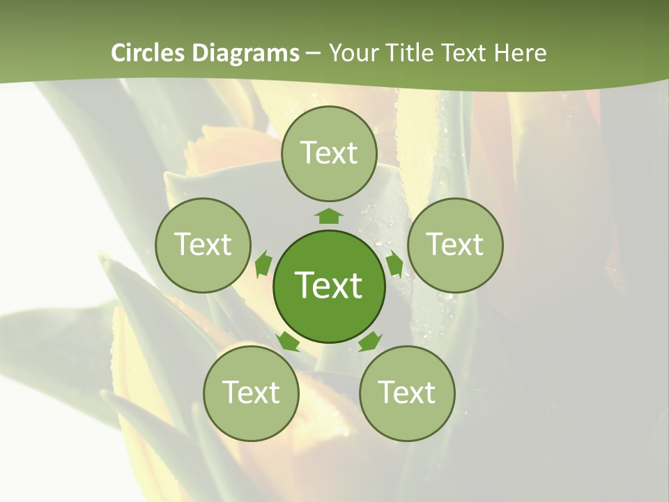 Trategy Di Cu Ion Writing PowerPoint Template