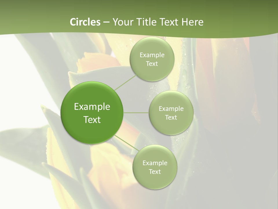 Trategy Di Cu Ion Writing PowerPoint Template
