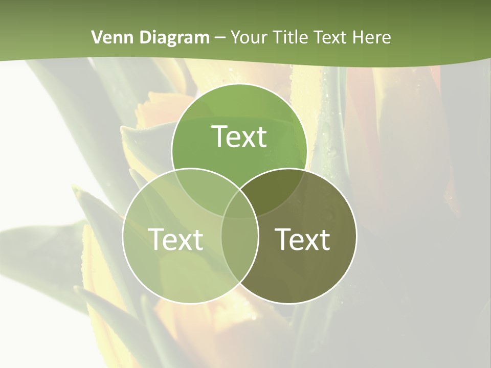 Trategy Di Cu Ion Writing PowerPoint Template