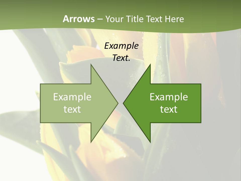 Trategy Di Cu Ion Writing PowerPoint Template