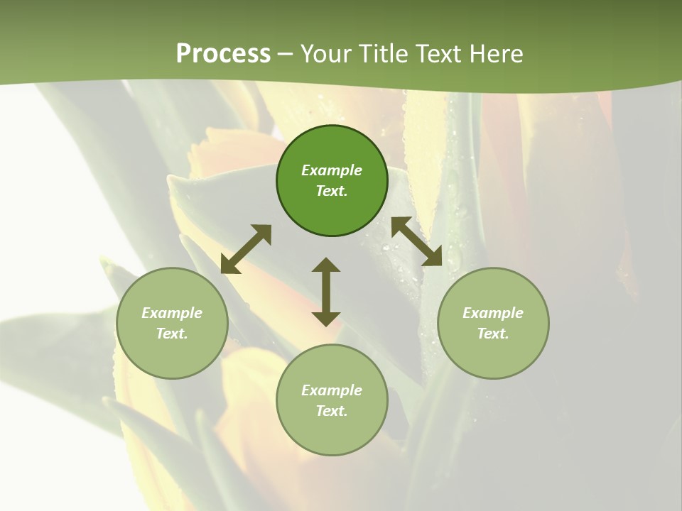 Trategy Di Cu Ion Writing PowerPoint Template