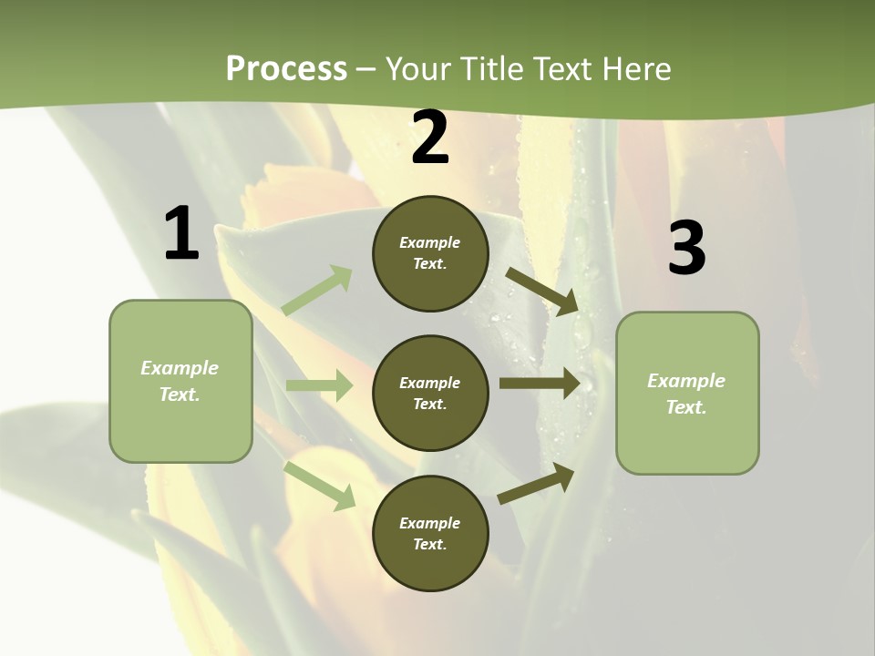 Trategy Di Cu Ion Writing PowerPoint Template