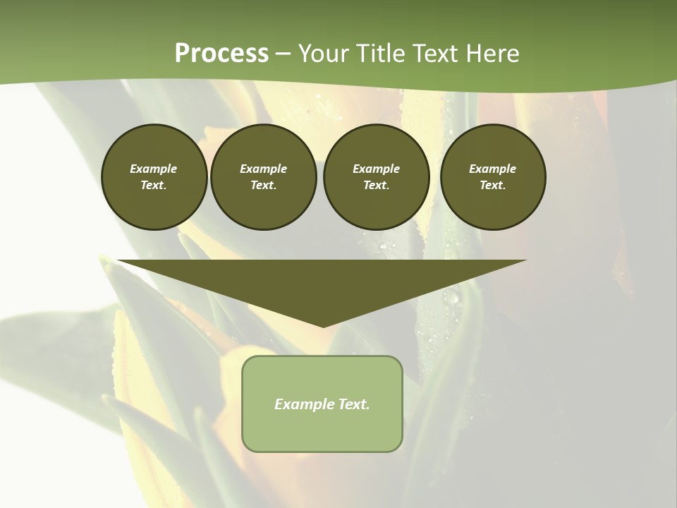 Trategy Di Cu Ion Writing PowerPoint Template