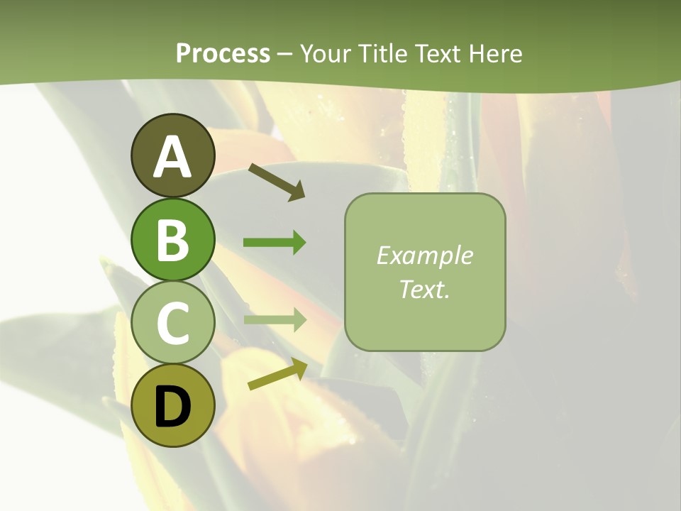 Trategy Di Cu Ion Writing PowerPoint Template