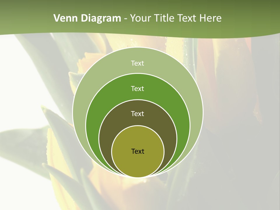 Trategy Di Cu Ion Writing PowerPoint Template