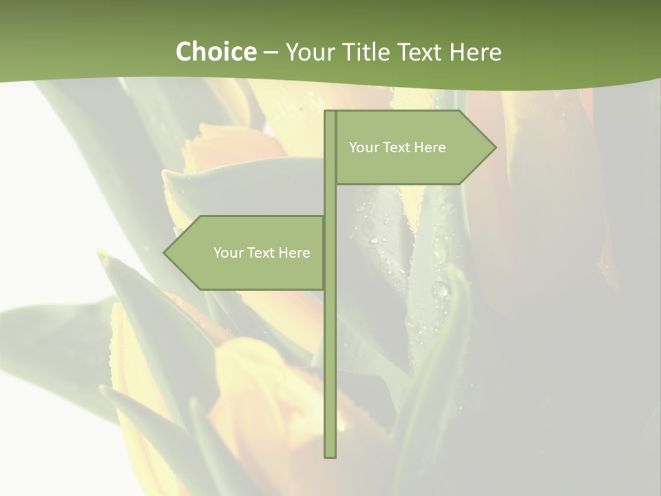 Trategy Di Cu Ion Writing PowerPoint Template