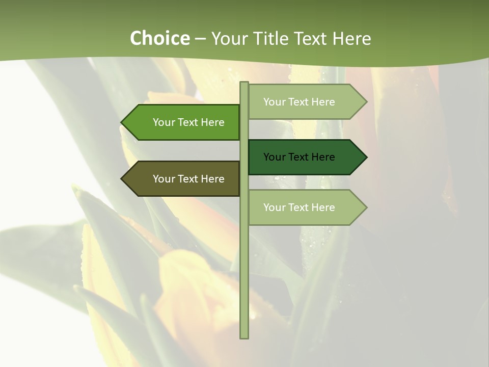 Trategy Di Cu Ion Writing PowerPoint Template