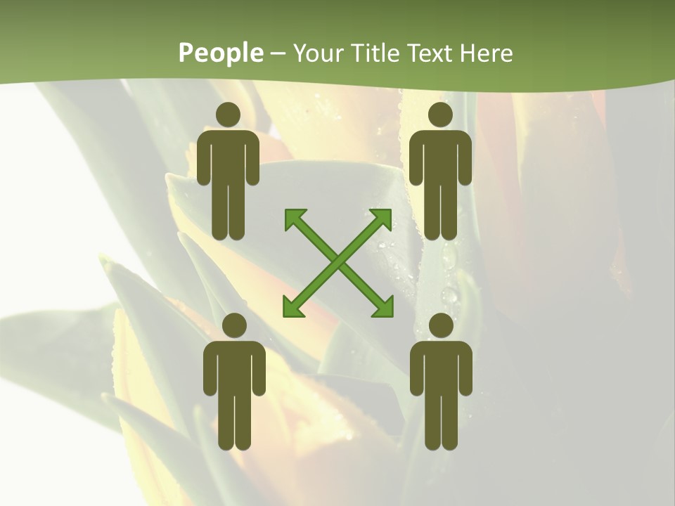 Trategy Di Cu Ion Writing PowerPoint Template