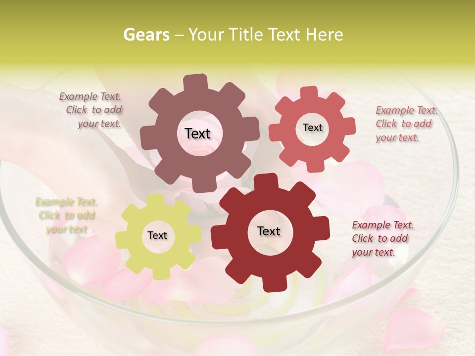 Petal Leisure Beauty PowerPoint Template