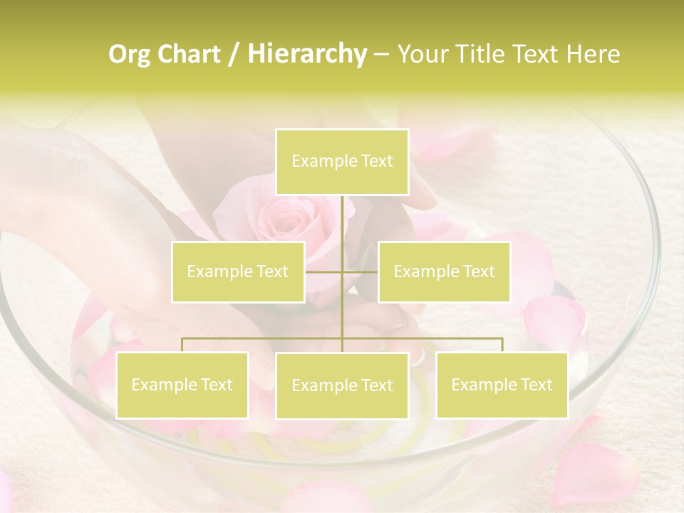 Petal Leisure Beauty PowerPoint Template