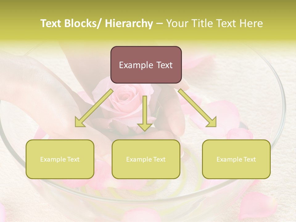 Petal Leisure Beauty PowerPoint Template