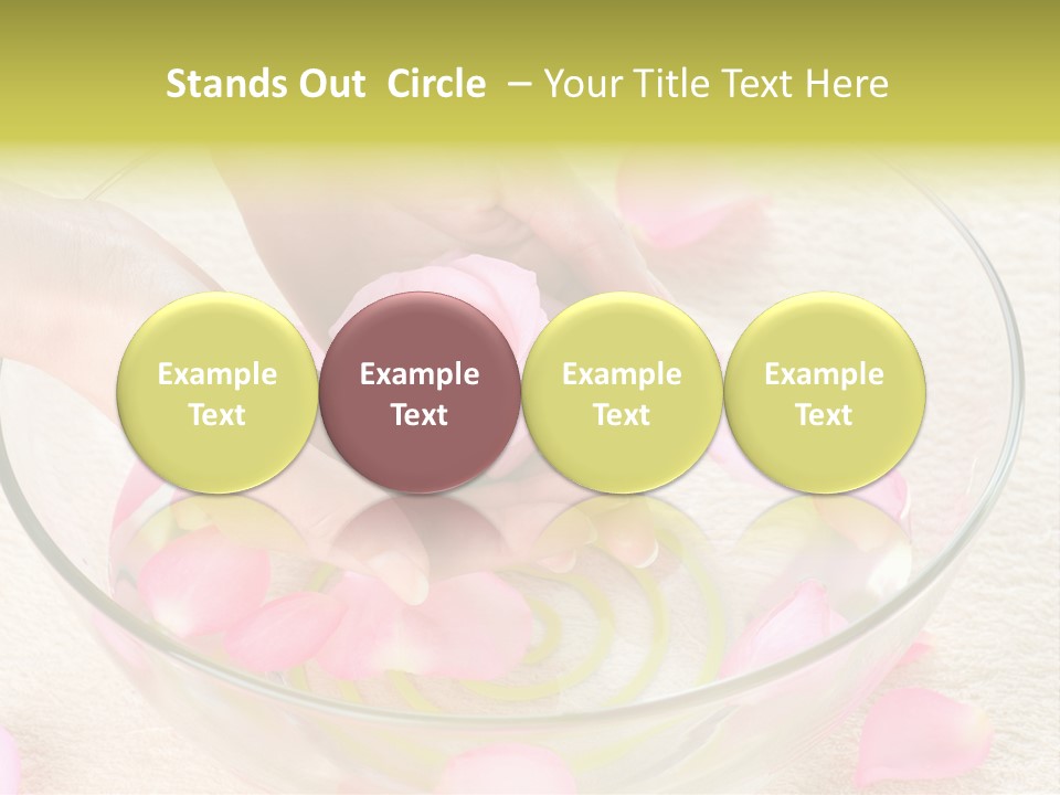 Petal Leisure Beauty PowerPoint Template