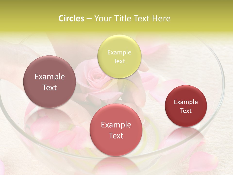 Petal Leisure Beauty PowerPoint Template