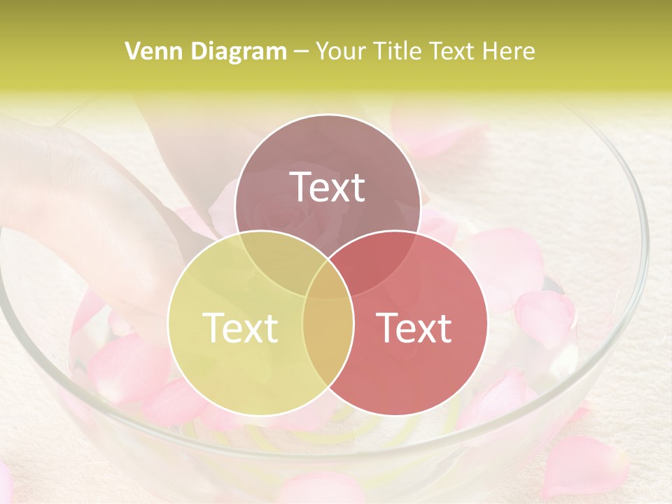 Petal Leisure Beauty PowerPoint Template