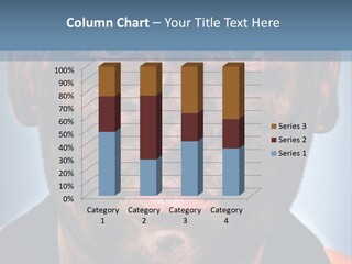 Miner Coal Industry PowerPoint Template