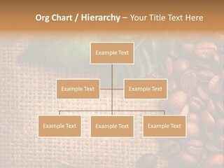 Group Design Macro PowerPoint Template