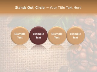 Group Design Macro PowerPoint Template