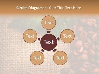Group Design Macro PowerPoint Template