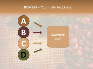 Group Design Macro PowerPoint Template