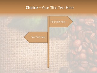 Group Design Macro PowerPoint Template