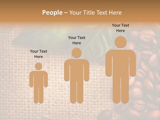 Group Design Macro PowerPoint Template