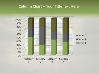 Nature Summer Danger PowerPoint Template