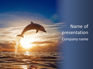 Sea Image Coast PowerPoint Template