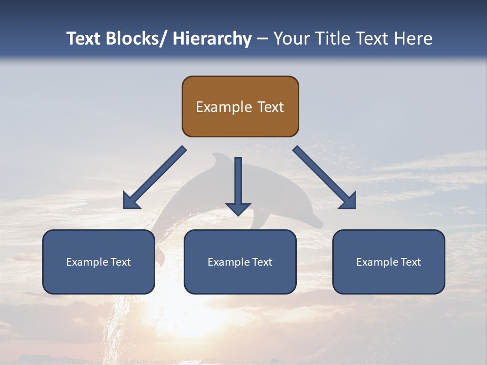 Sea Image Coast PowerPoint Template