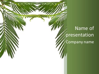 Stem Tropical Curve PowerPoint Template