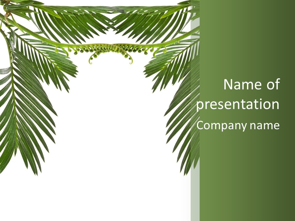 Stem Tropical Curve PowerPoint Template