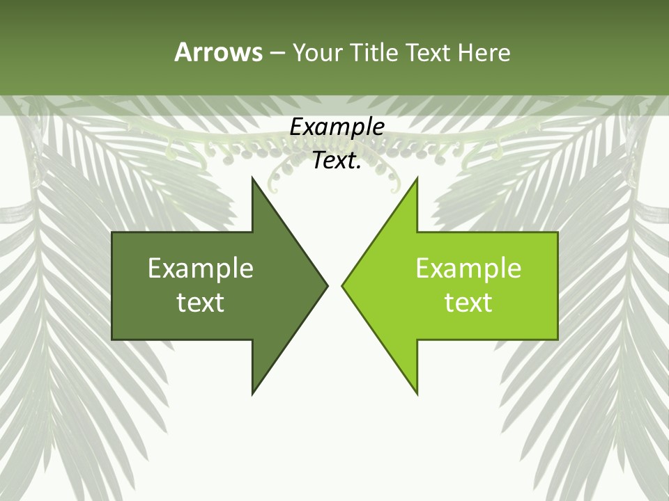 Stem Tropical Curve PowerPoint Template