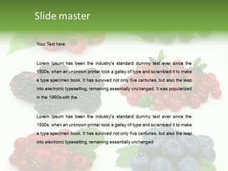 Nature Young Animal PowerPoint Template