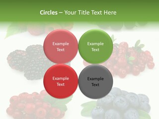 Nature Young Animal PowerPoint Template