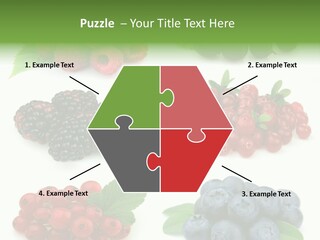 Nature Young Animal PowerPoint Template