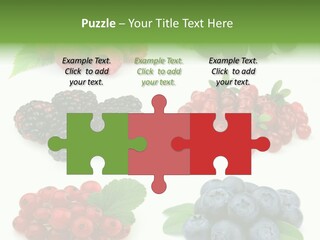 Nature Young Animal PowerPoint Template