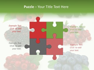 Nature Young Animal PowerPoint Template