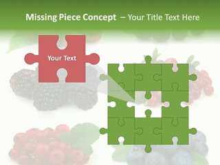 Nature Young Animal PowerPoint Template