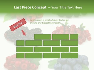 Nature Young Animal PowerPoint Template