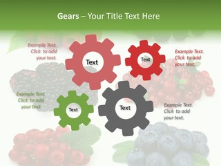 Nature Young Animal PowerPoint Template