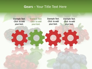 Nature Young Animal PowerPoint Template