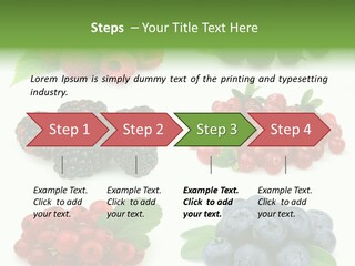 Nature Young Animal PowerPoint Template