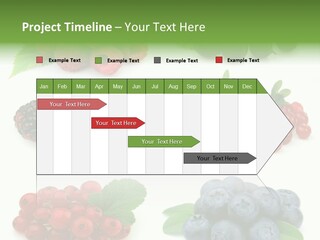 Nature Young Animal PowerPoint Template