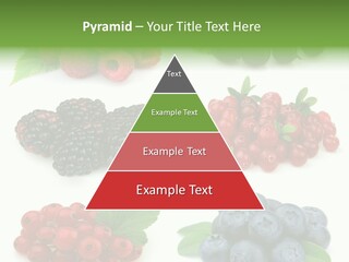 Nature Young Animal PowerPoint Template