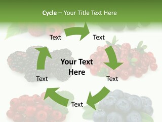 Nature Young Animal PowerPoint Template